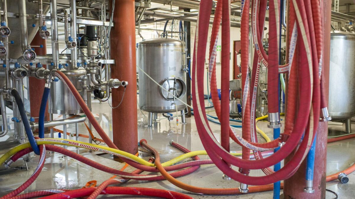 Tw7 C Blflp B1 G Qwi1 Fdoe N